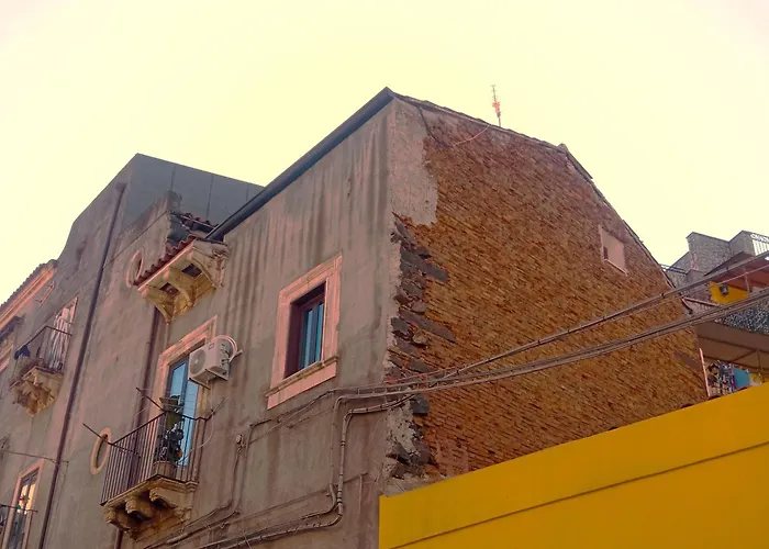 Fikus Relax Castello Ursino Catánia