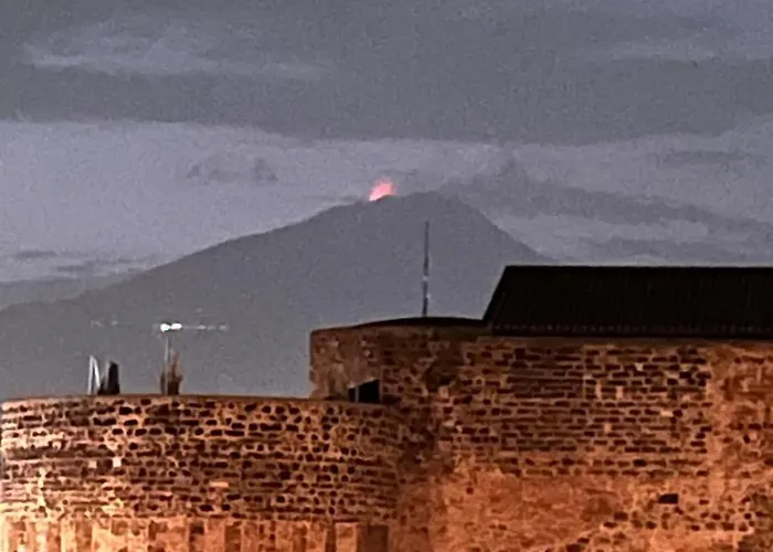 Fikus Relax Castello Ursino Appartement *